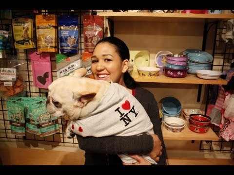 The Jumping Bulldog Pet Store Leloca App TV with Kayla Lala Rodriguez Episode 2